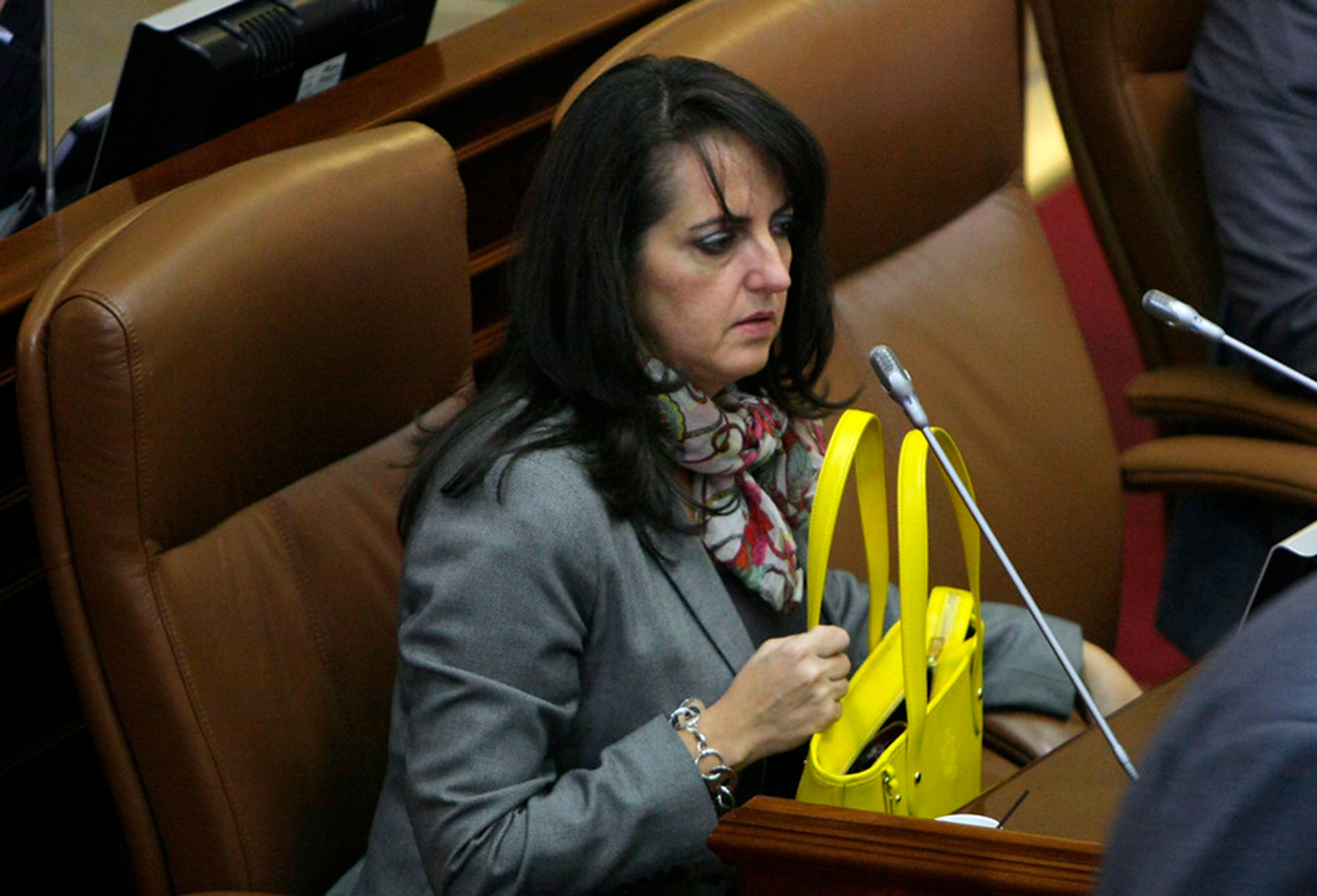 María Fernanda Cabal, congresista