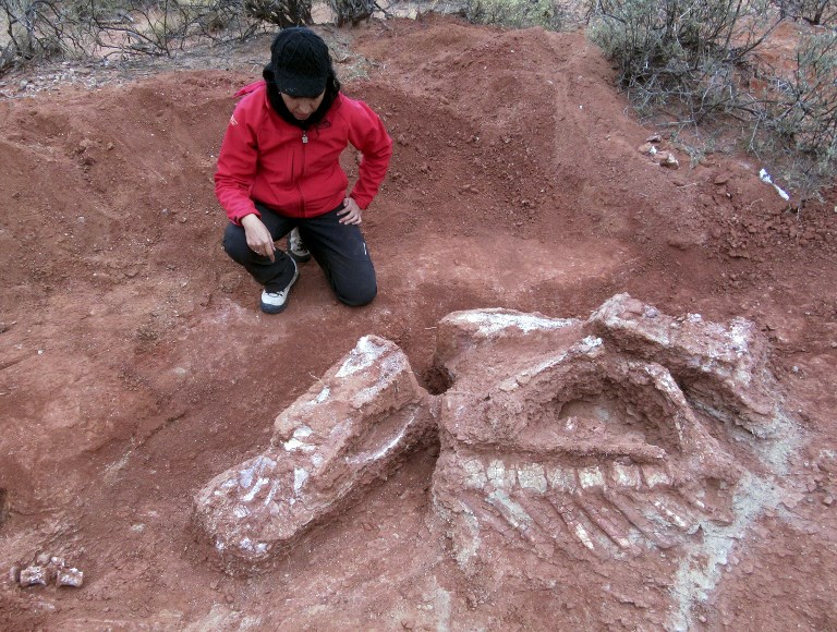 Dinosaurio Thumbnail
