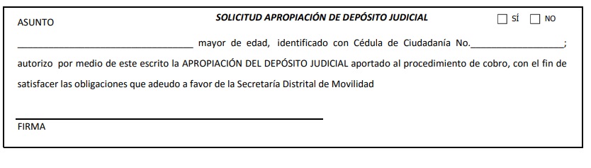 Apropiación de depósito judicial