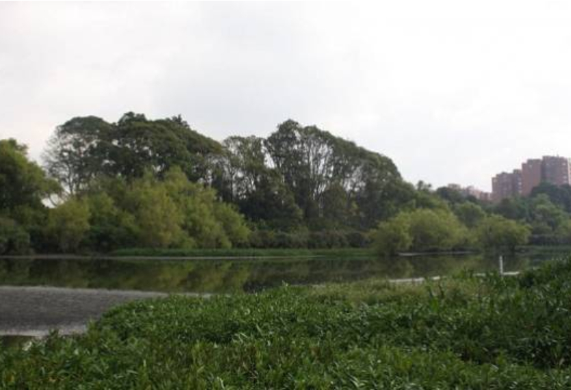 Humedales de Bogotá