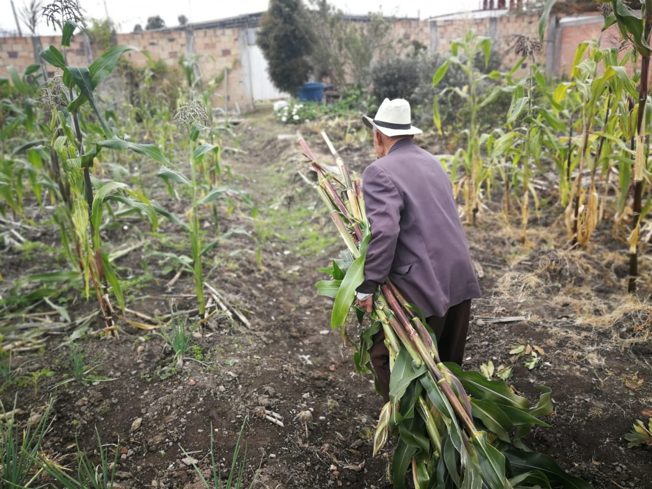 David, agricultor urbano Thumbnail