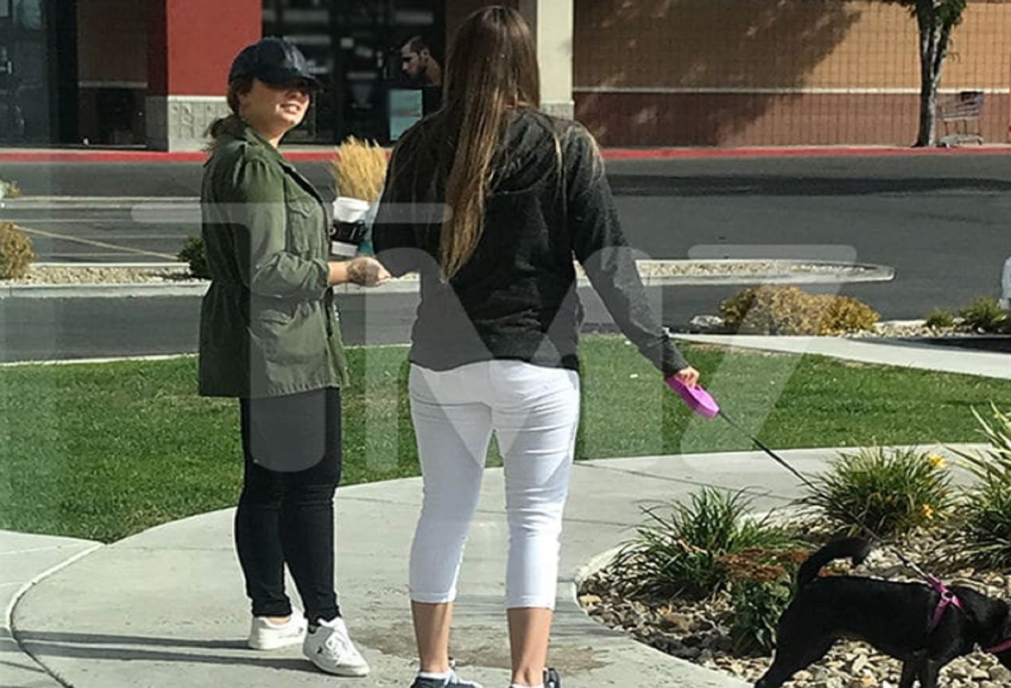 Demi Lovato