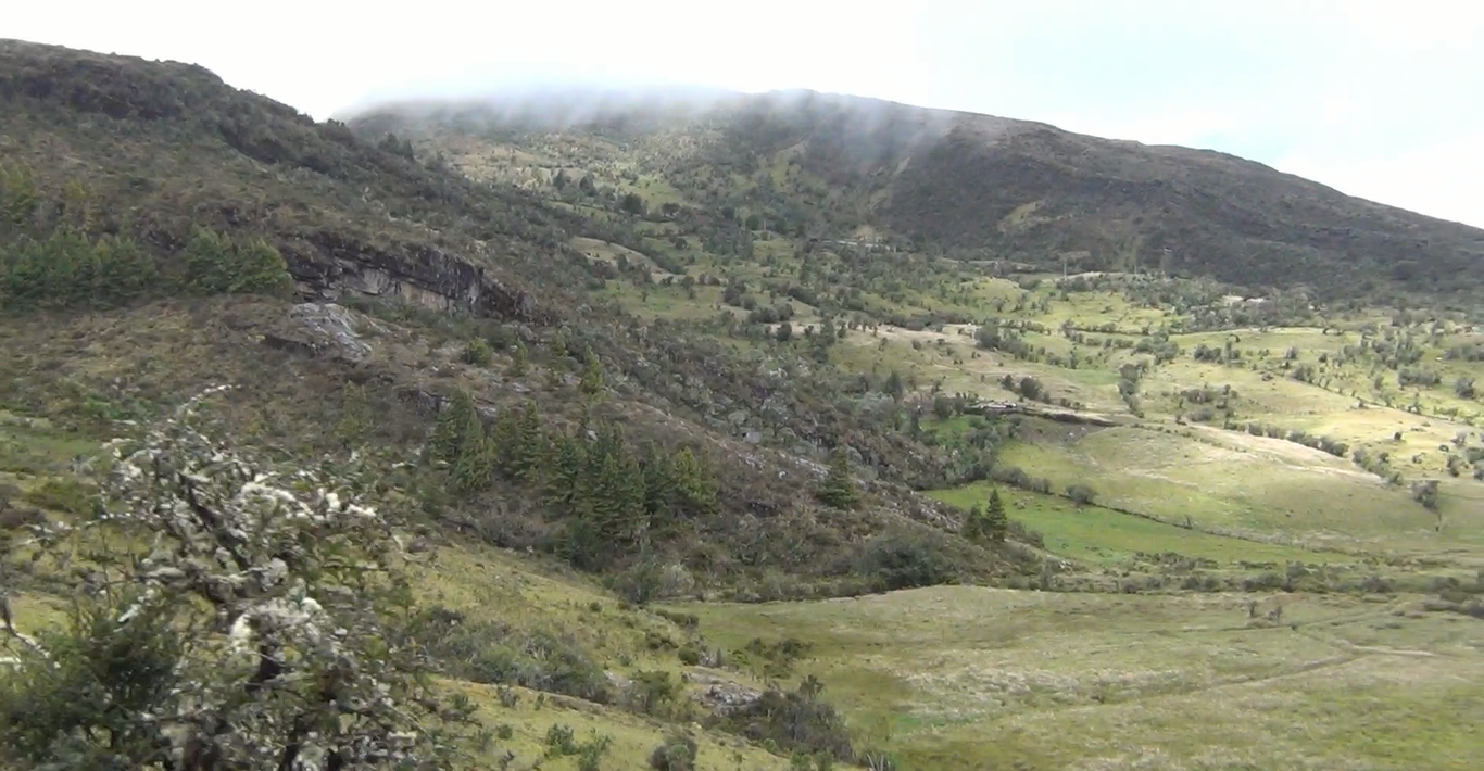 Páramo de Pisba.