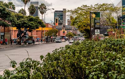 Avenida Oriental, centro de Medellín, después de la siembra de árboles.