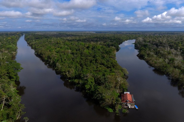 Brasil amazonas