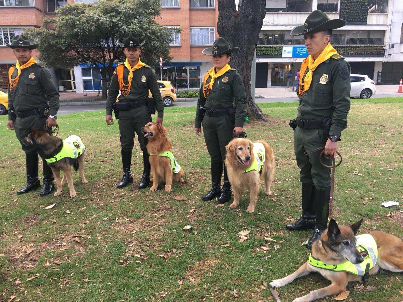 titulo