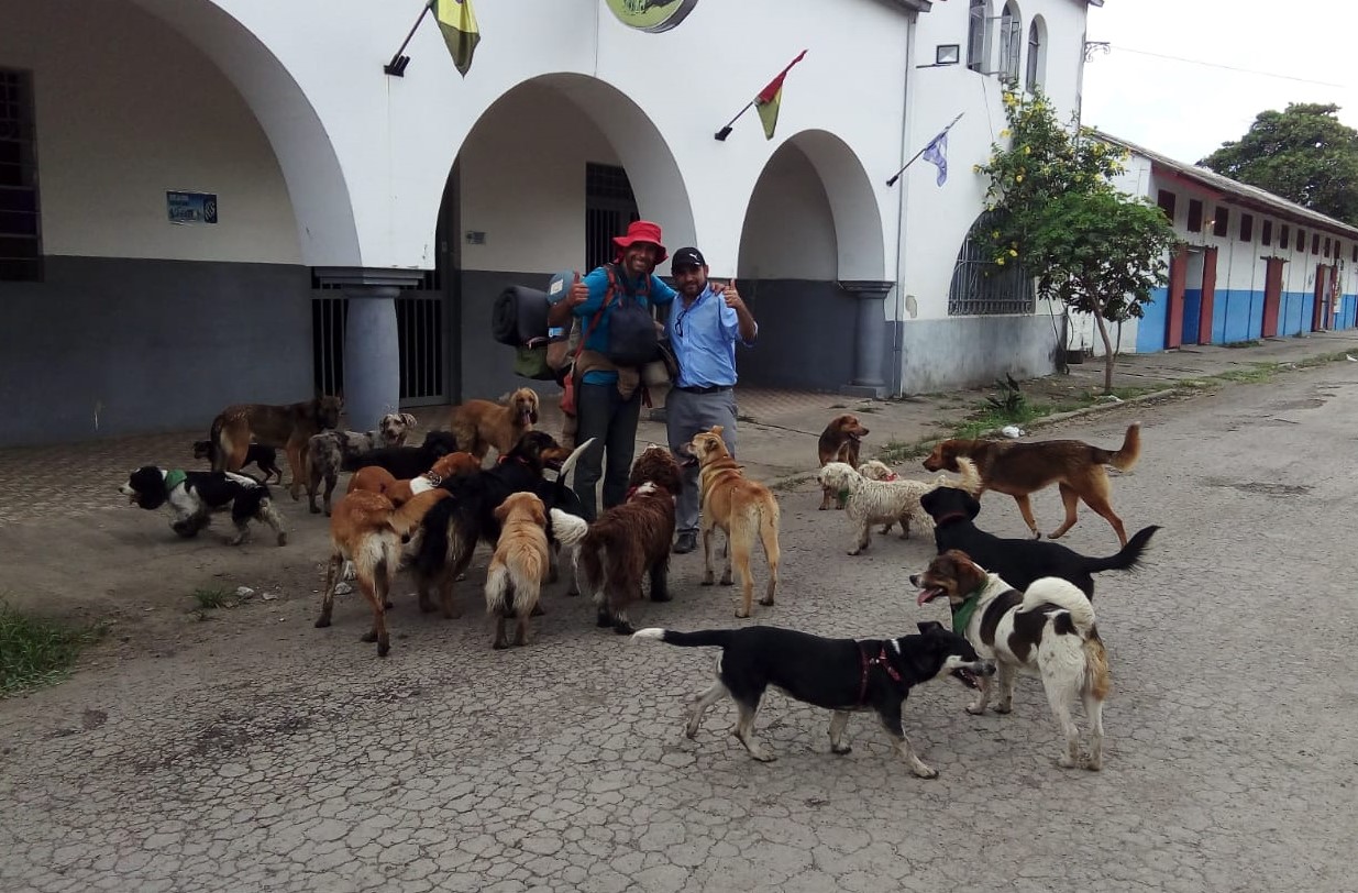 Anialista busca un hogar para 23 perros