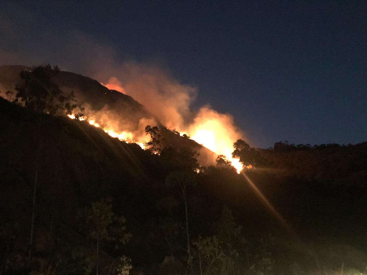 Cuatro cabras murieron incineradas en un incendio forestal en Soatá que permanece activo