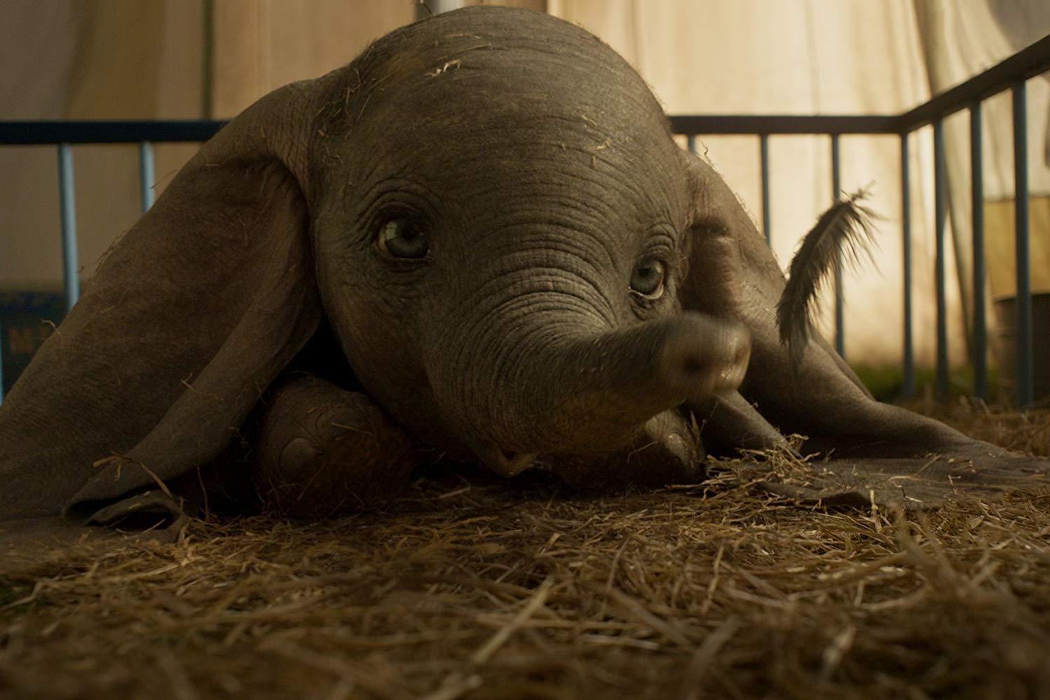 peluche dumbo tim burton