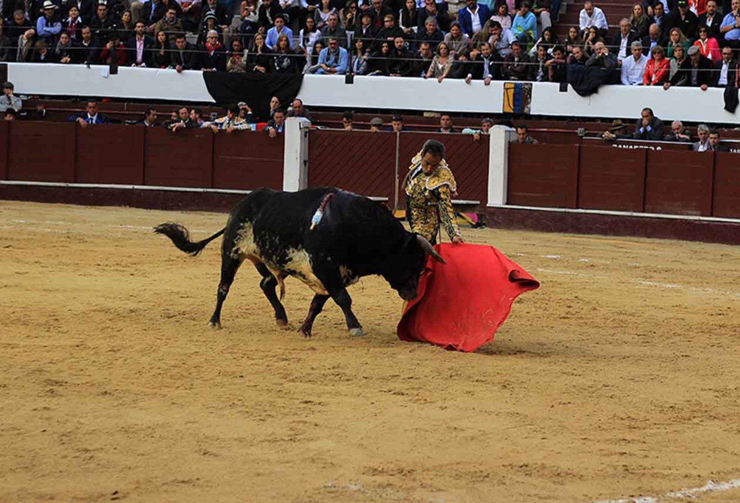 La Santa María