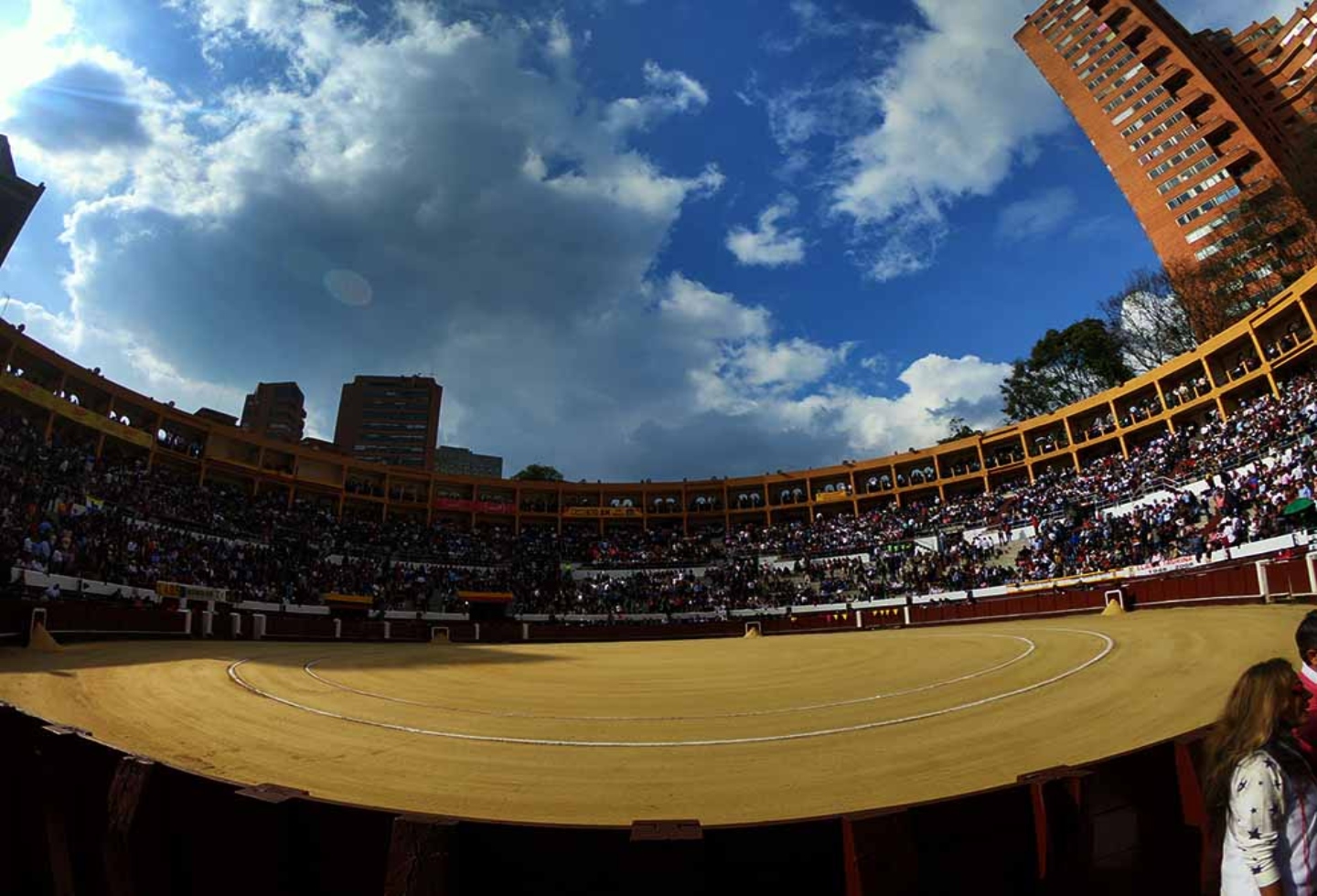 Toros