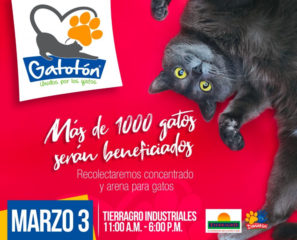 Felinos