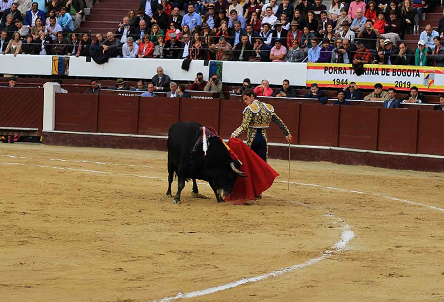 Torero