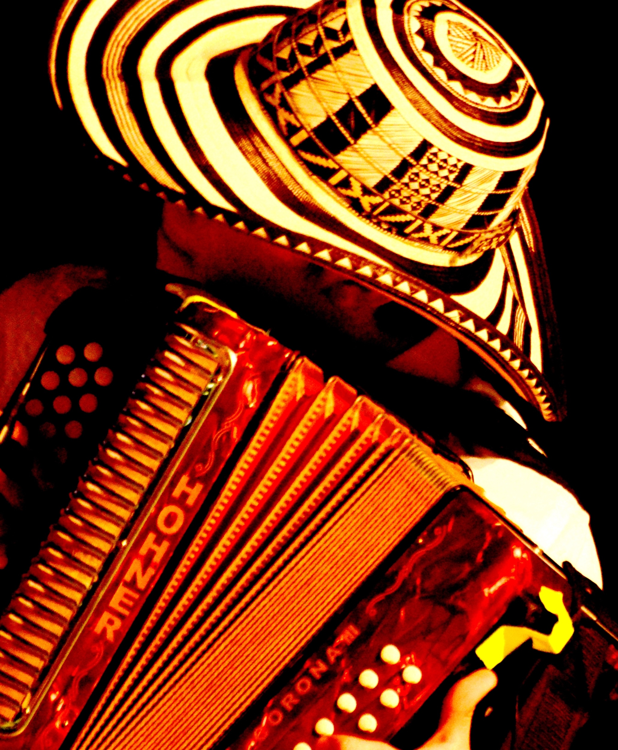 Festival Vallenata 2021 Festival Vallenata 2021