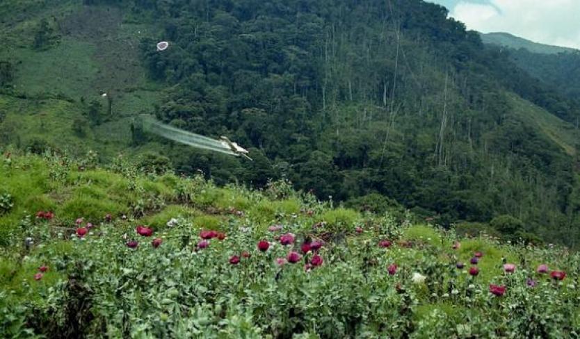 Avioneta de fumigación se accidentó en Maní (Casanare) - RCN Radio