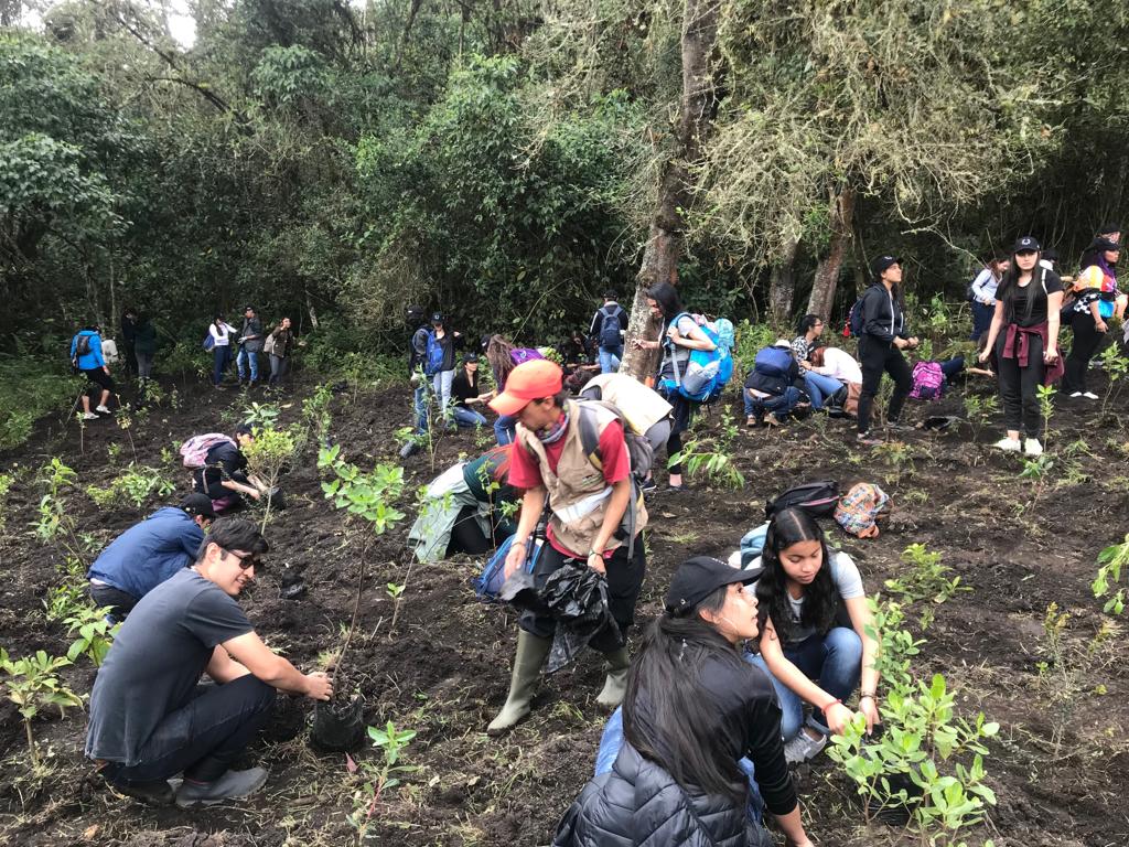 Universidad EAN en el 'Reto Siembra'