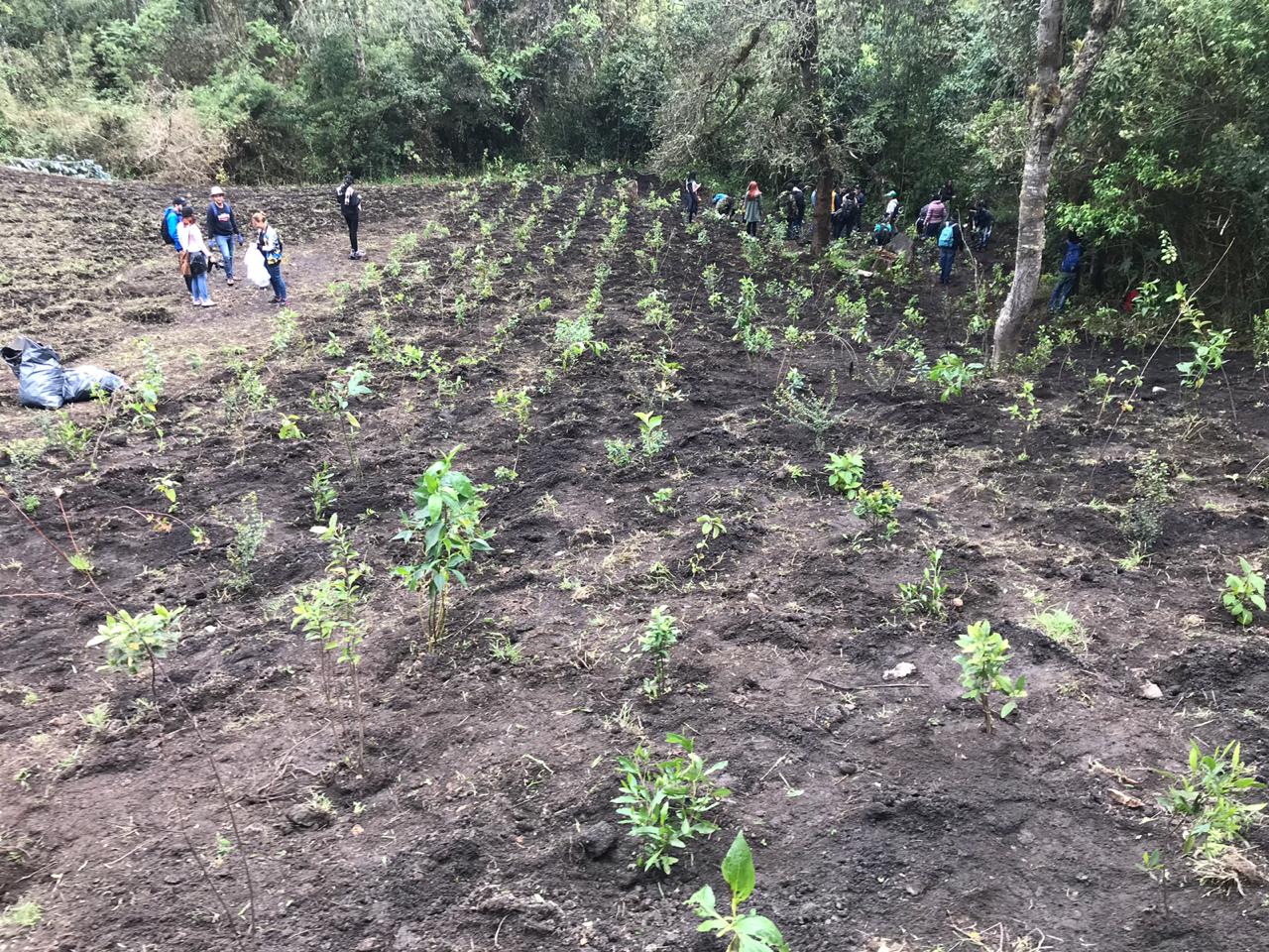 Reto Siembra en la Universidad EAN