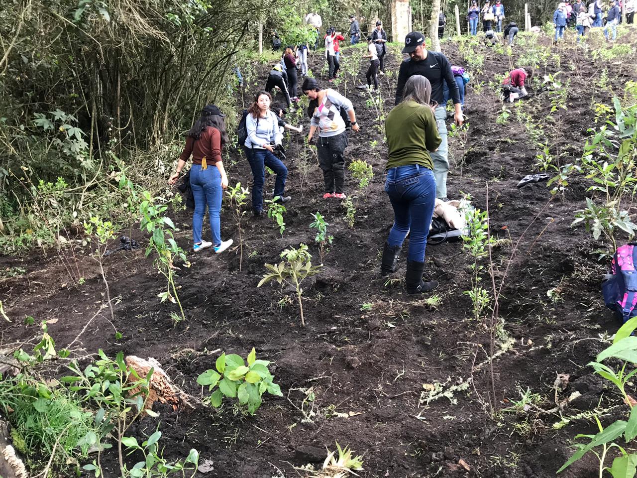 Reto Siembra en la Universidad EAN