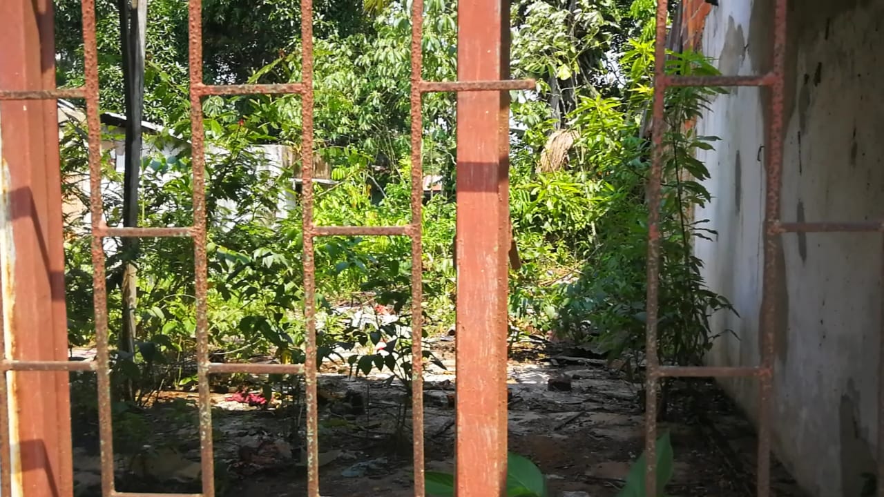 En algunas antiguas casas hay selva en la sala