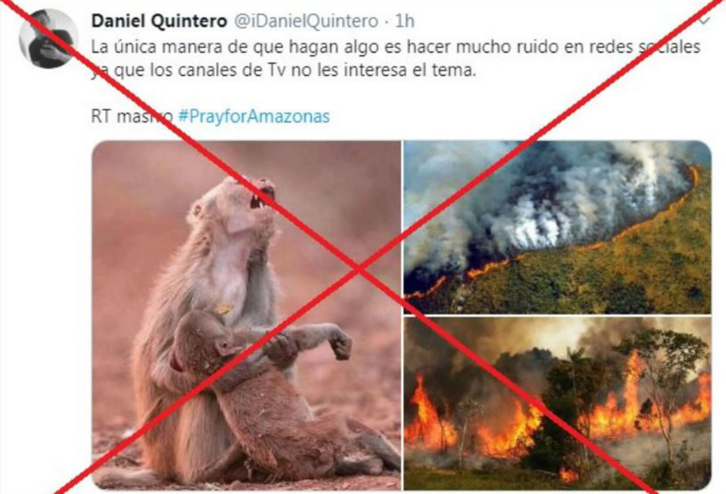 Imágenes engañosas sobre incendio en la Amazonia