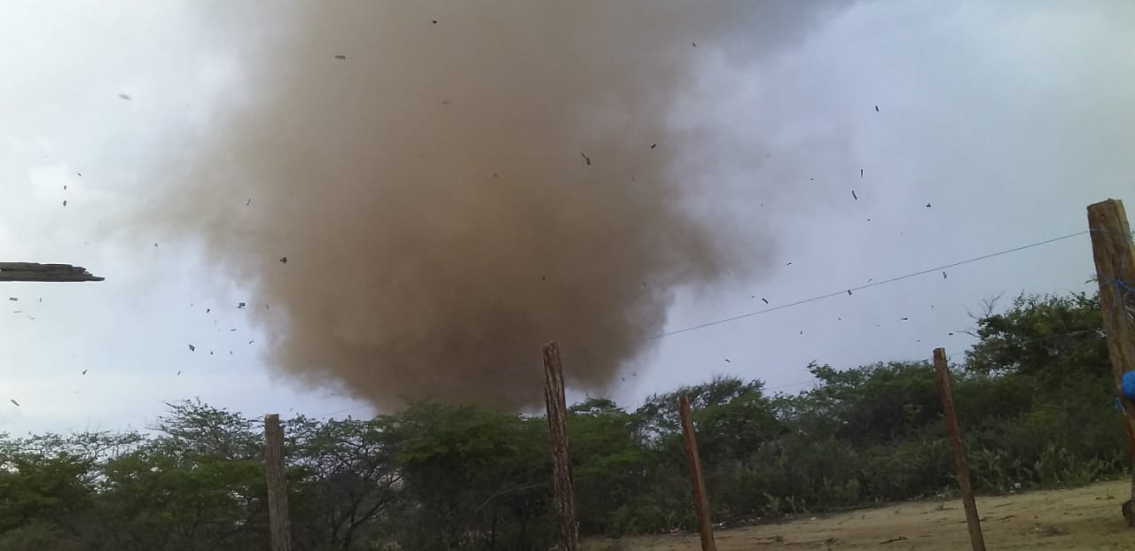 el tornado se llevó todo lo que vio a su paso