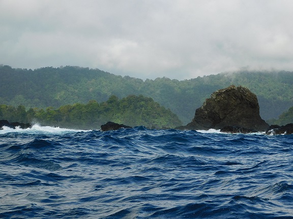 Parque Utría, Chocó.