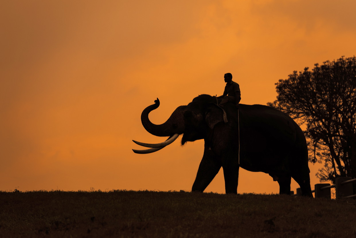 Turismo en la India