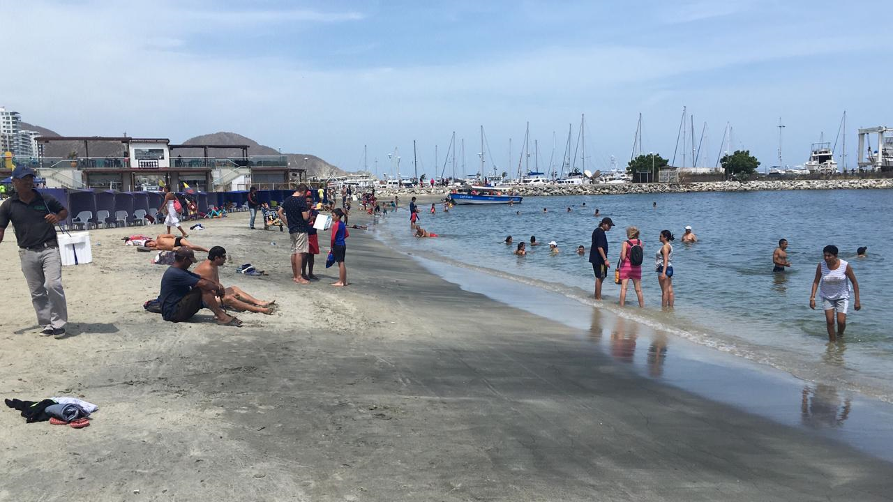 Presencia De Medusas En Playa De Santa Marta Afecta A Dos Bañistas ...