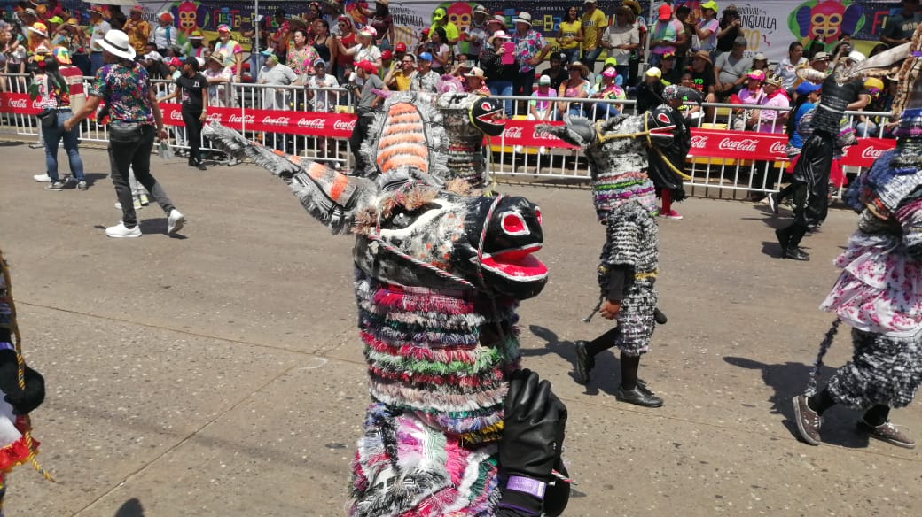 Burro Corcoveón.