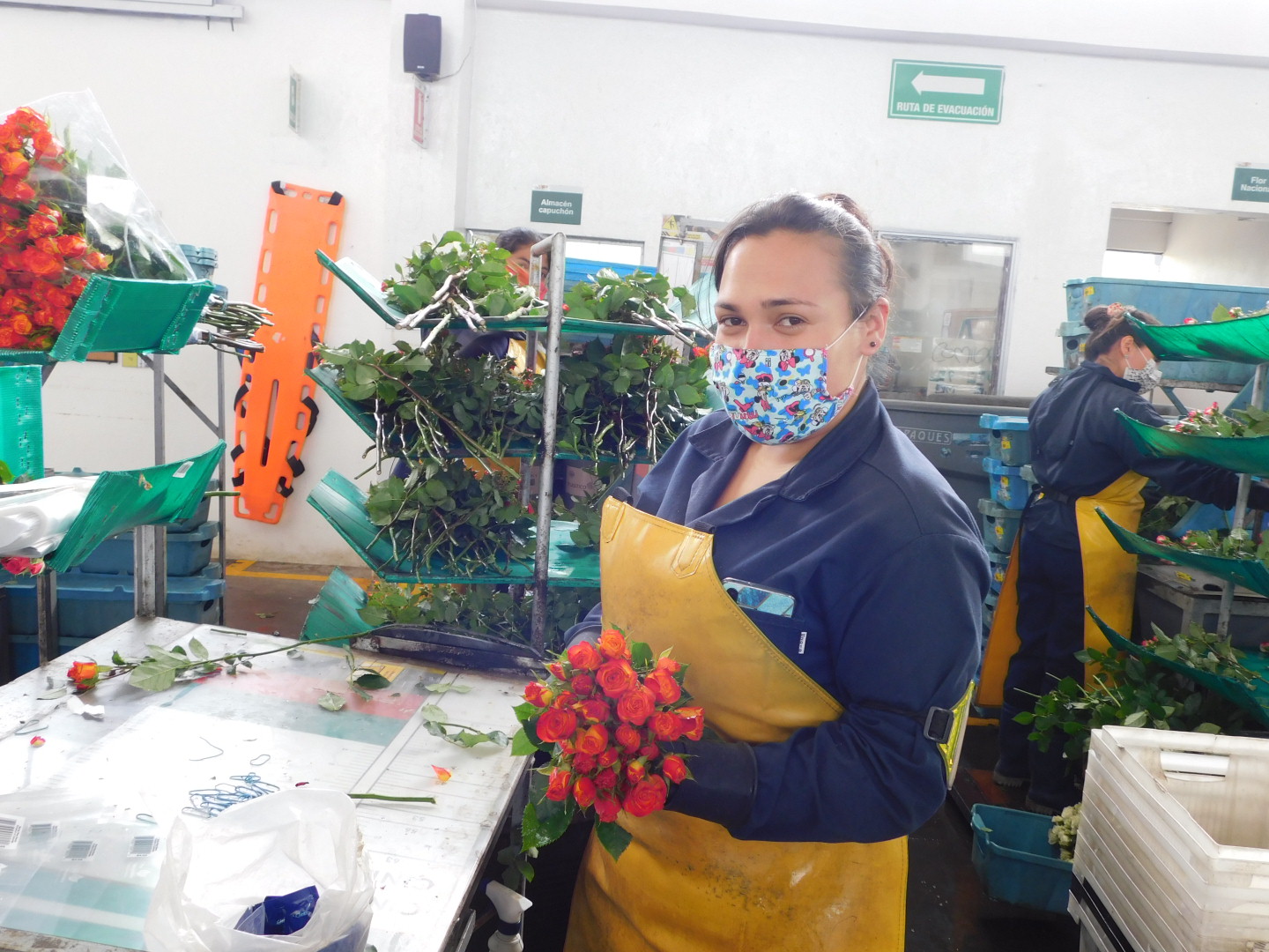 Empresa cultivadora de flores colombiana.