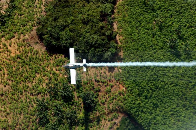 El uso del herbicida es rechazado en nariño