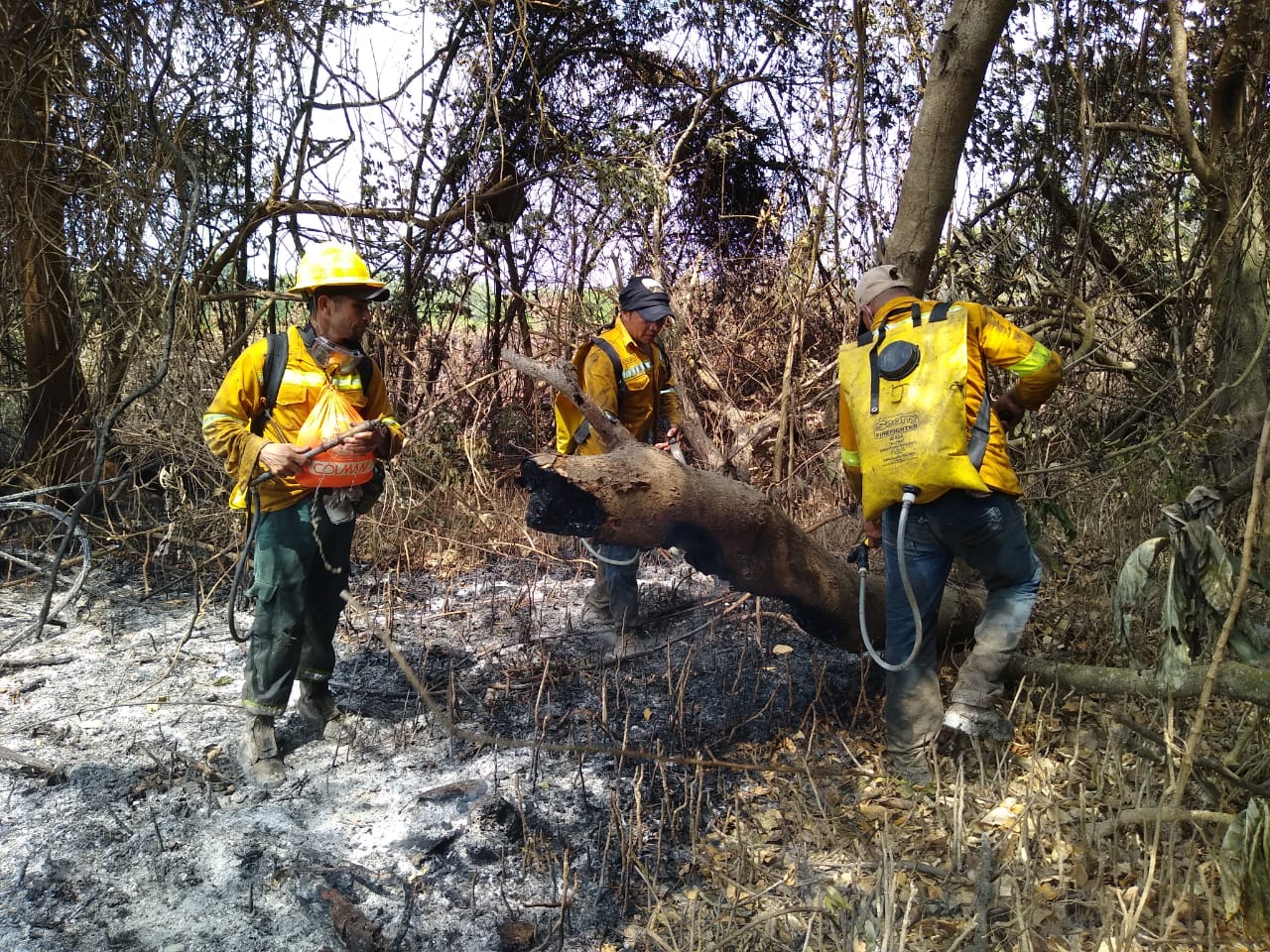 Incendio en Vía Parque Isla de Salamanca.