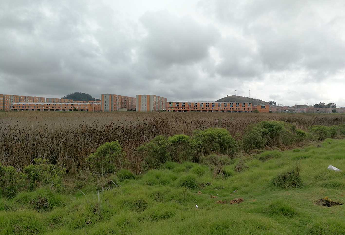 Humedal Neuta, Soacha, Cundinamarca.