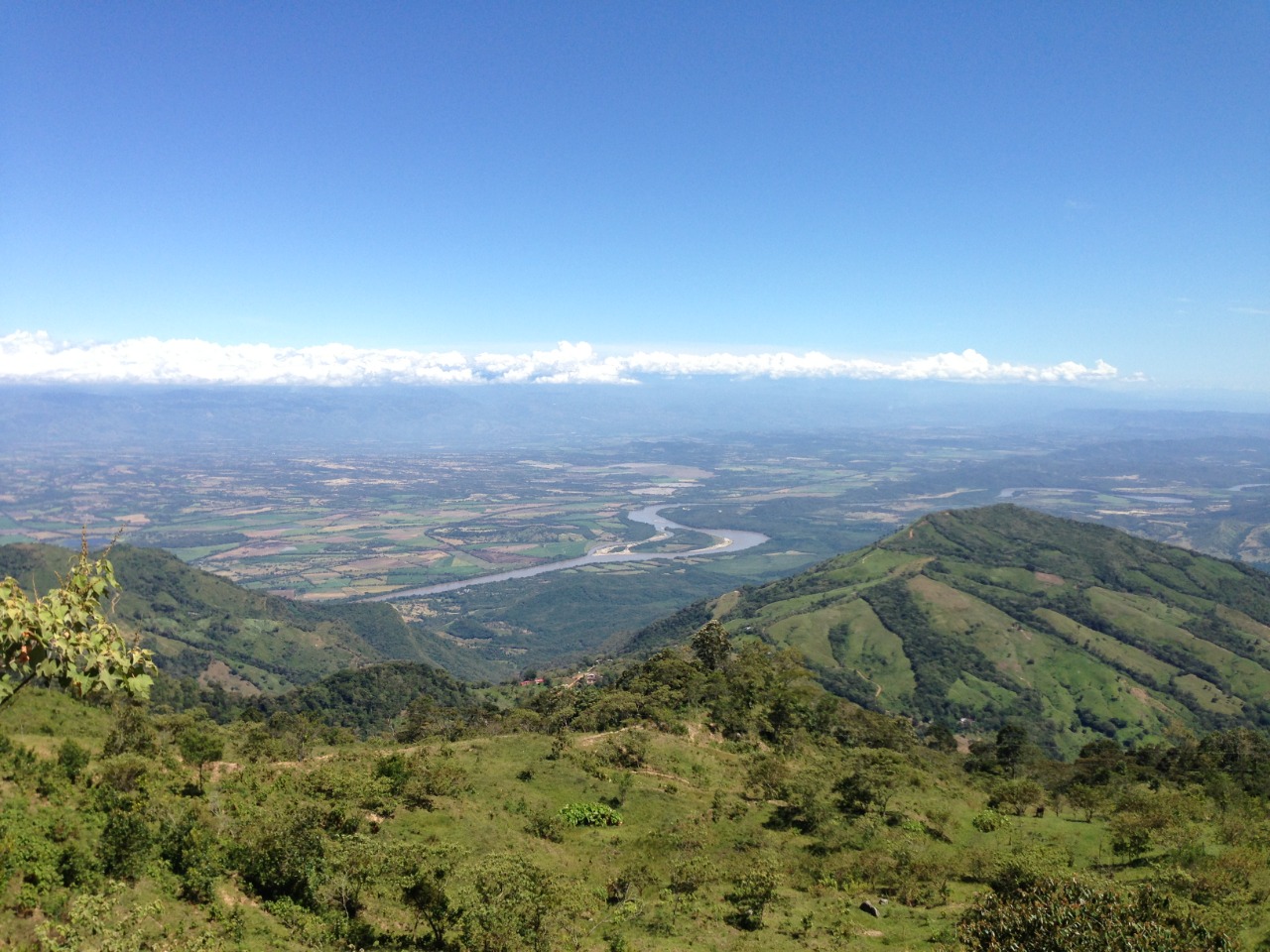 Paraíso de Aves de Tabor y Magdalena en Cundinamarca.