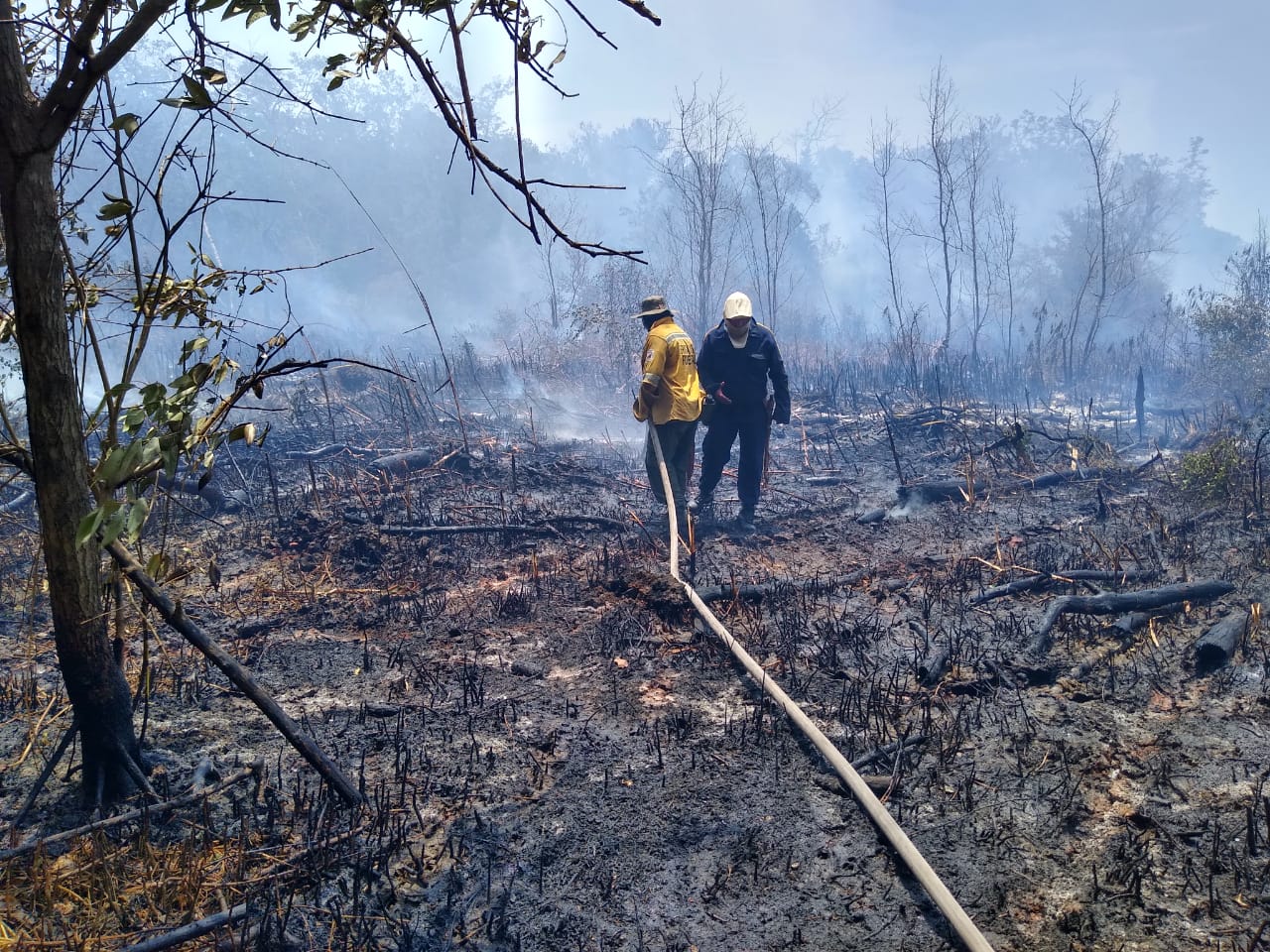 Incendio Parque Isla de Salamanca, Magdalena.