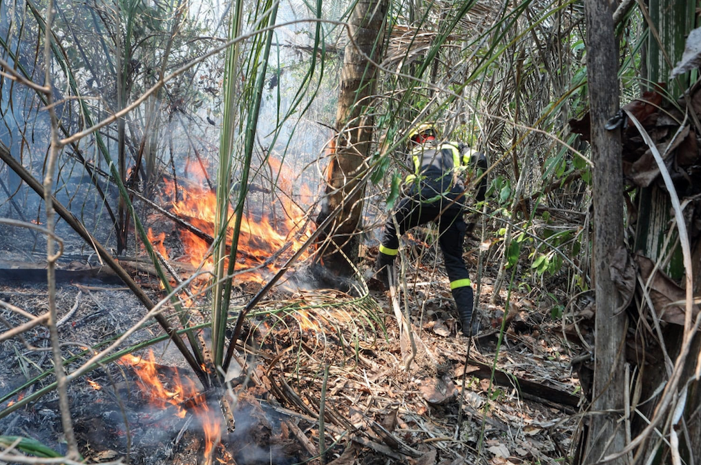 Incendios En Bolivia Últimas Noticias De Incendios En Bolivia Rcn Radio 7973