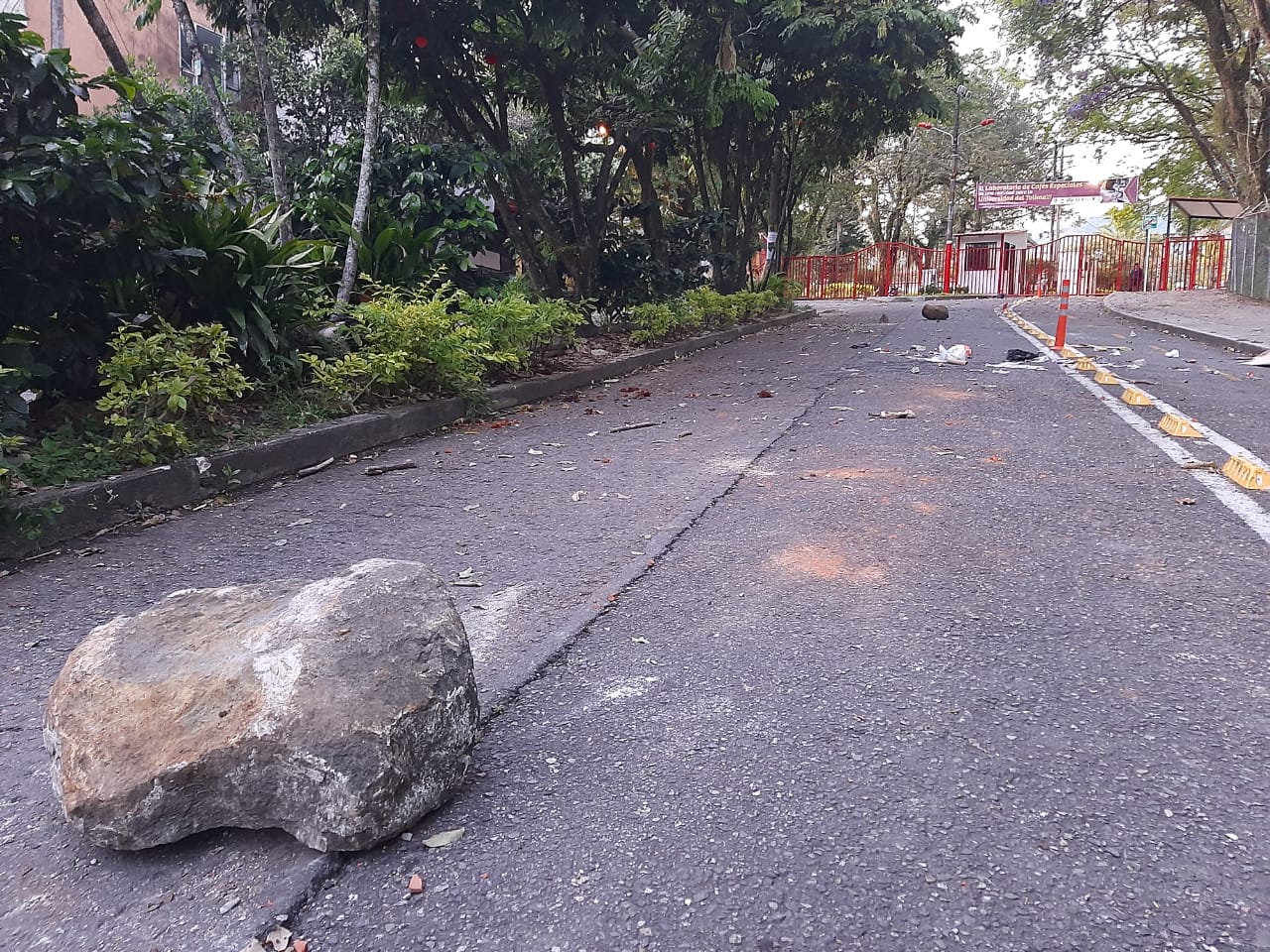 Disturbios - Ibagué.