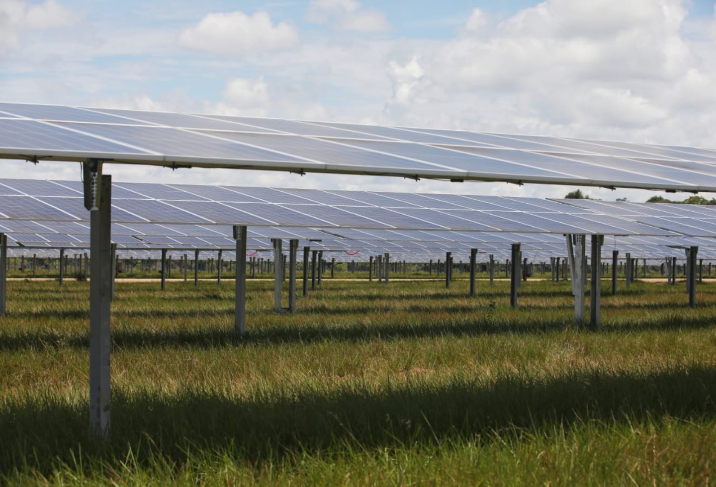 Inauguran nueva planta de energía solar en Colombia en el Meta