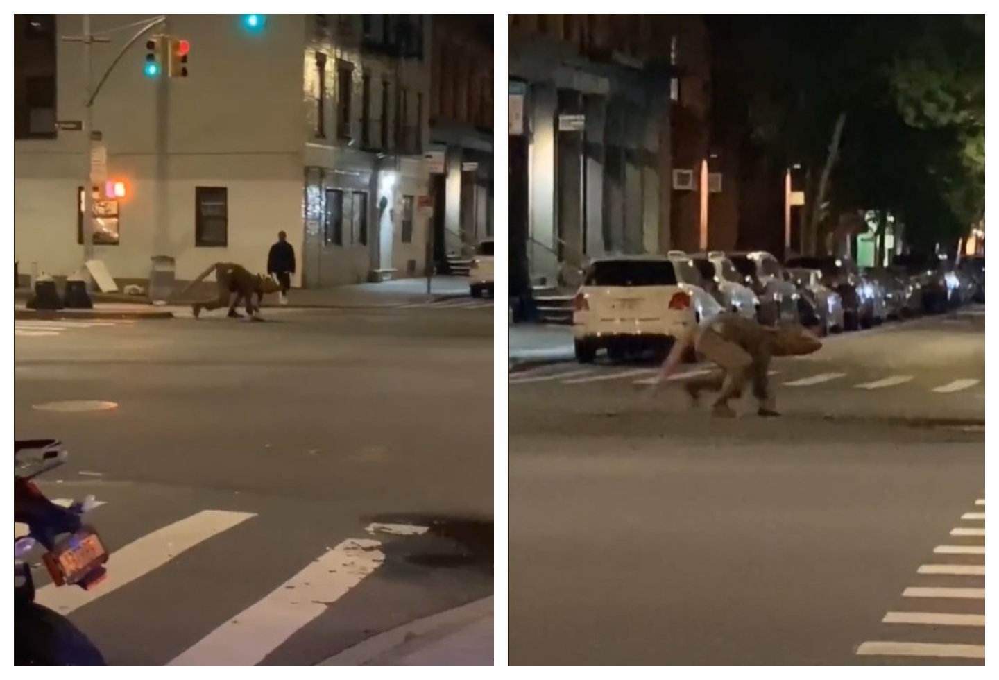 [Video] Giant humanoid rat wanders the streets of New York