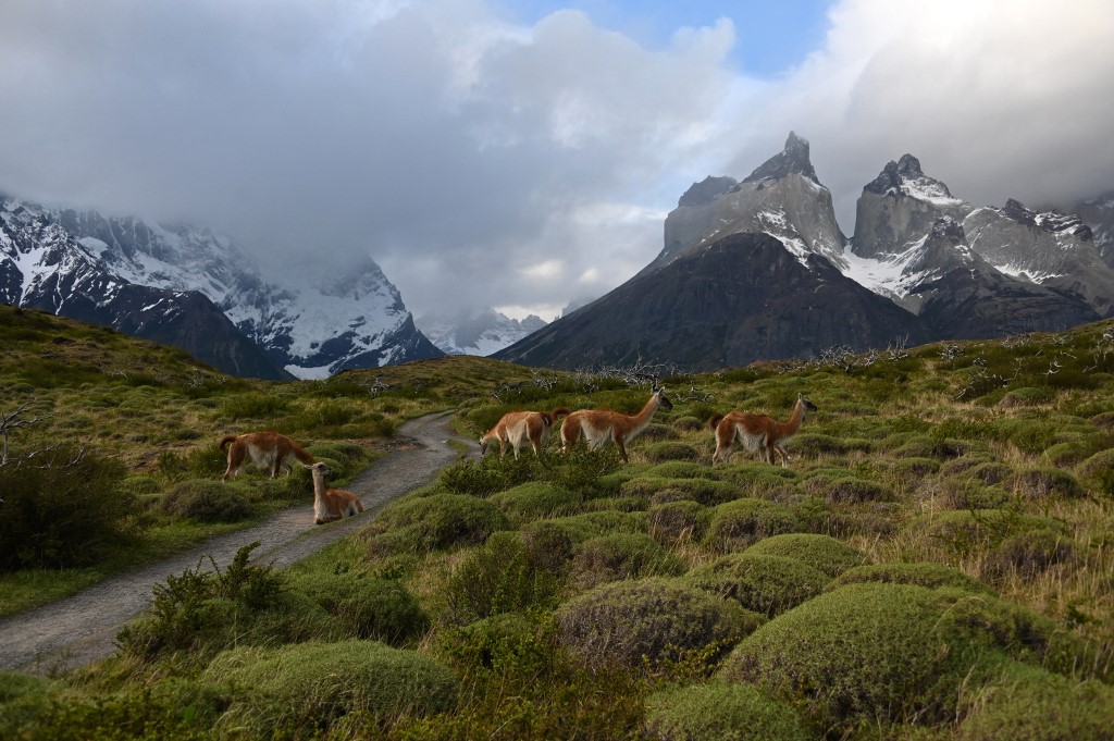 Parque Torres del Paine