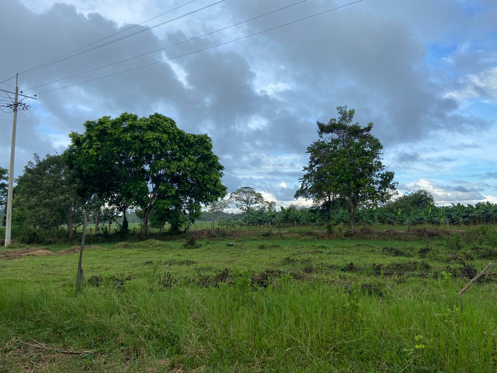 Corregimiento de Puerto Lleras, Saravena en Arauca. 