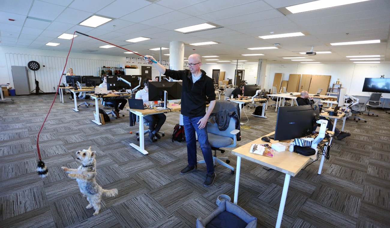 Perro en la oficina Perro en la oficina