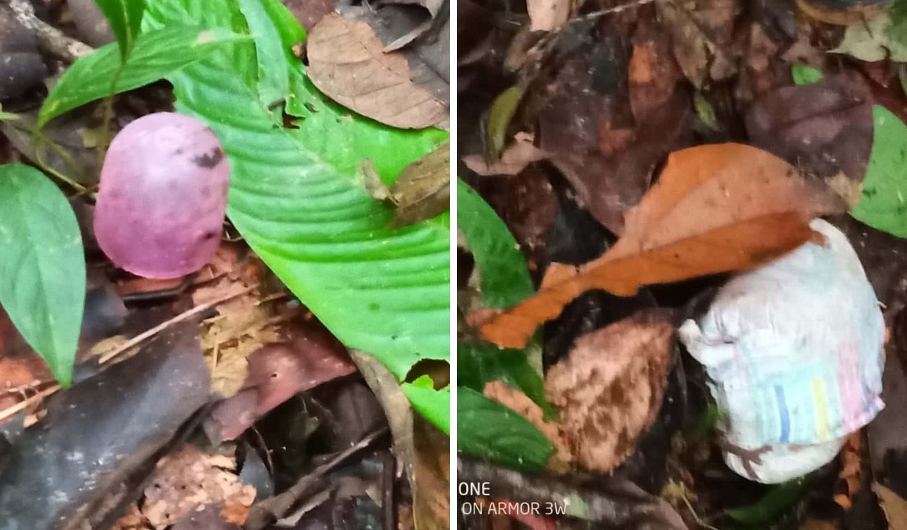 Avioneta en Guaviare: encuentran tapa de biberón y un pañal