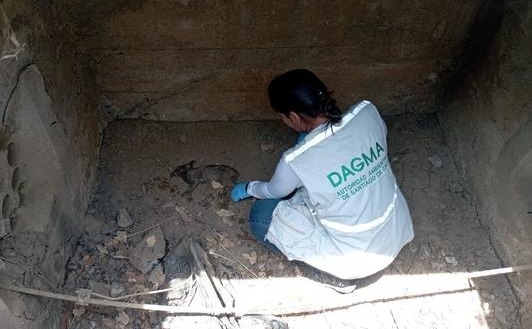 8- Encuentran animales calcinados