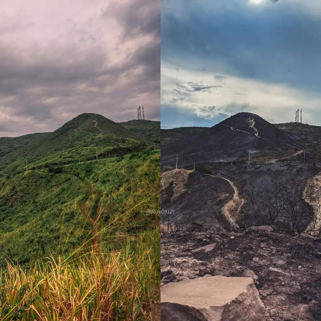 2- Antes y después del incendio forestal