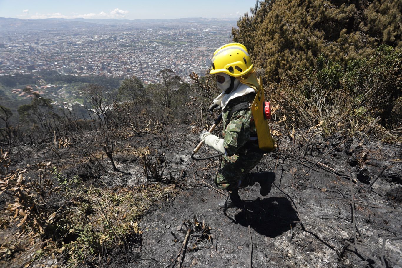 Incendio En Cerros Orientales Llamas Han Sido Controladas En Un 60 Rcn Radio 5528