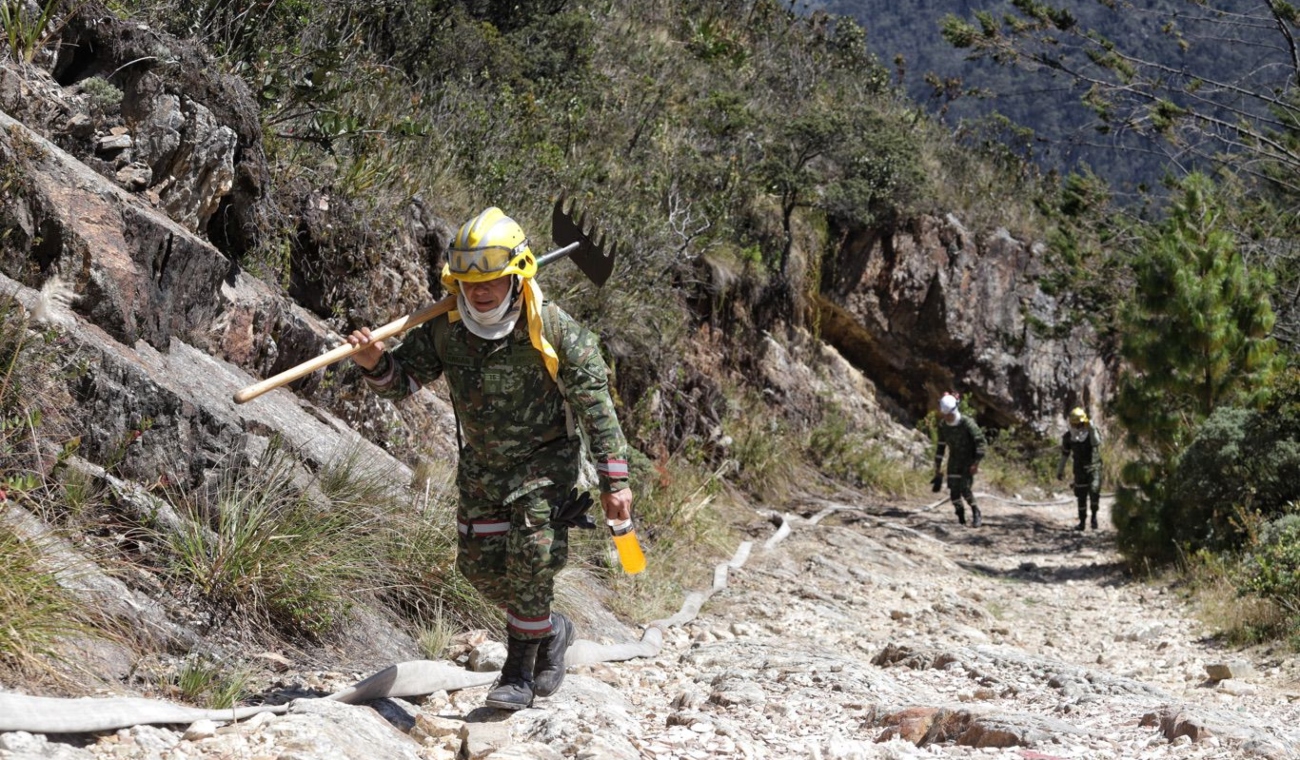 ¿Cuántos incendios están activos en Colombia este viernes? RCN Radio