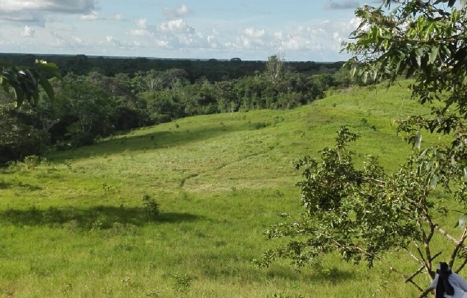 Resultado de imagen para llanos del yari