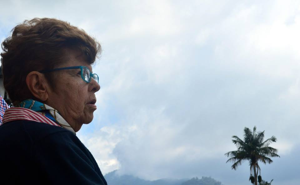 Beatriz Botero Uribe, la guardiana de la Palma de Cera en el Quindío