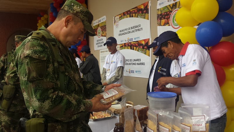 Avanza Erradicación De Cultivos Ilícitos En El Departamento De Nariño Rcn Radio 2981